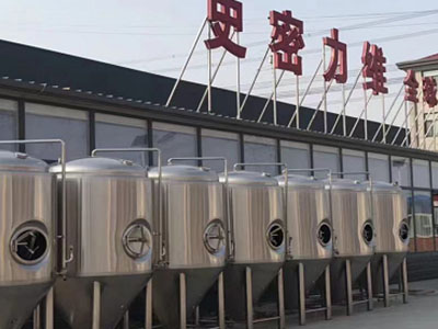 无为精酿啤酒设备厂—市场规模与跨界新需求